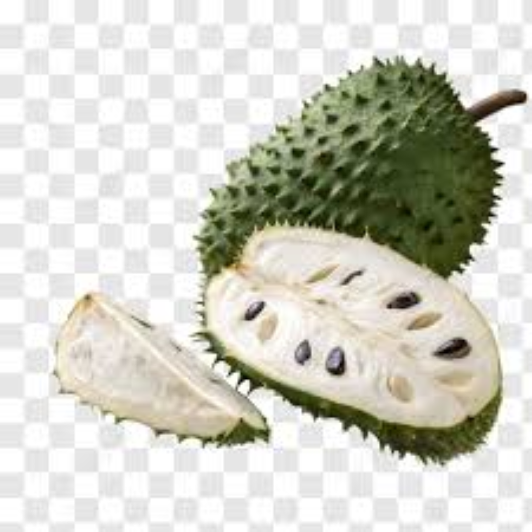 FRESH SOUR SOP